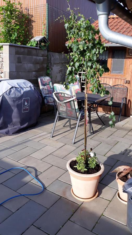 Apartmán u potoka Sadov Esterno foto